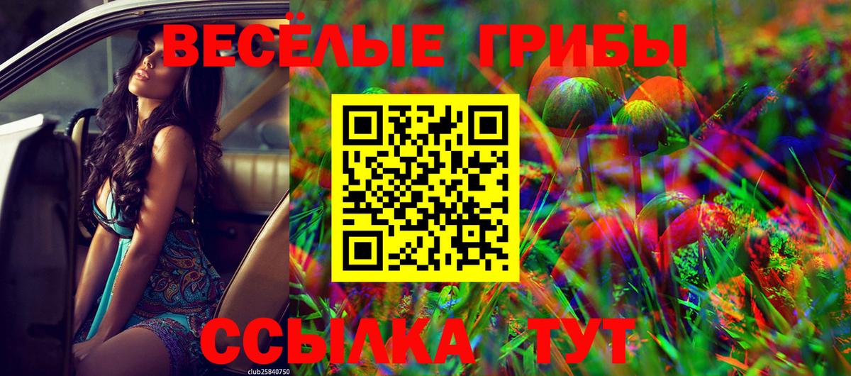 Галлюциногенные грибы прущие грибы Новокубанск